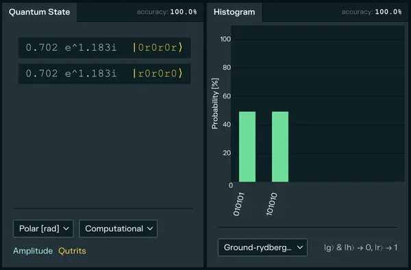 AFM simulation results